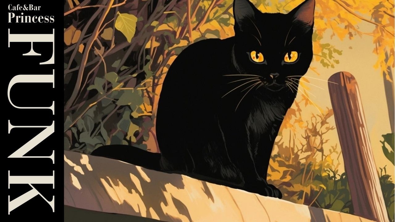 Easy Study Groove | Funk Guitar Chillhop 🎧 | Selected by the Black Cat | Chill, Groove & Focus