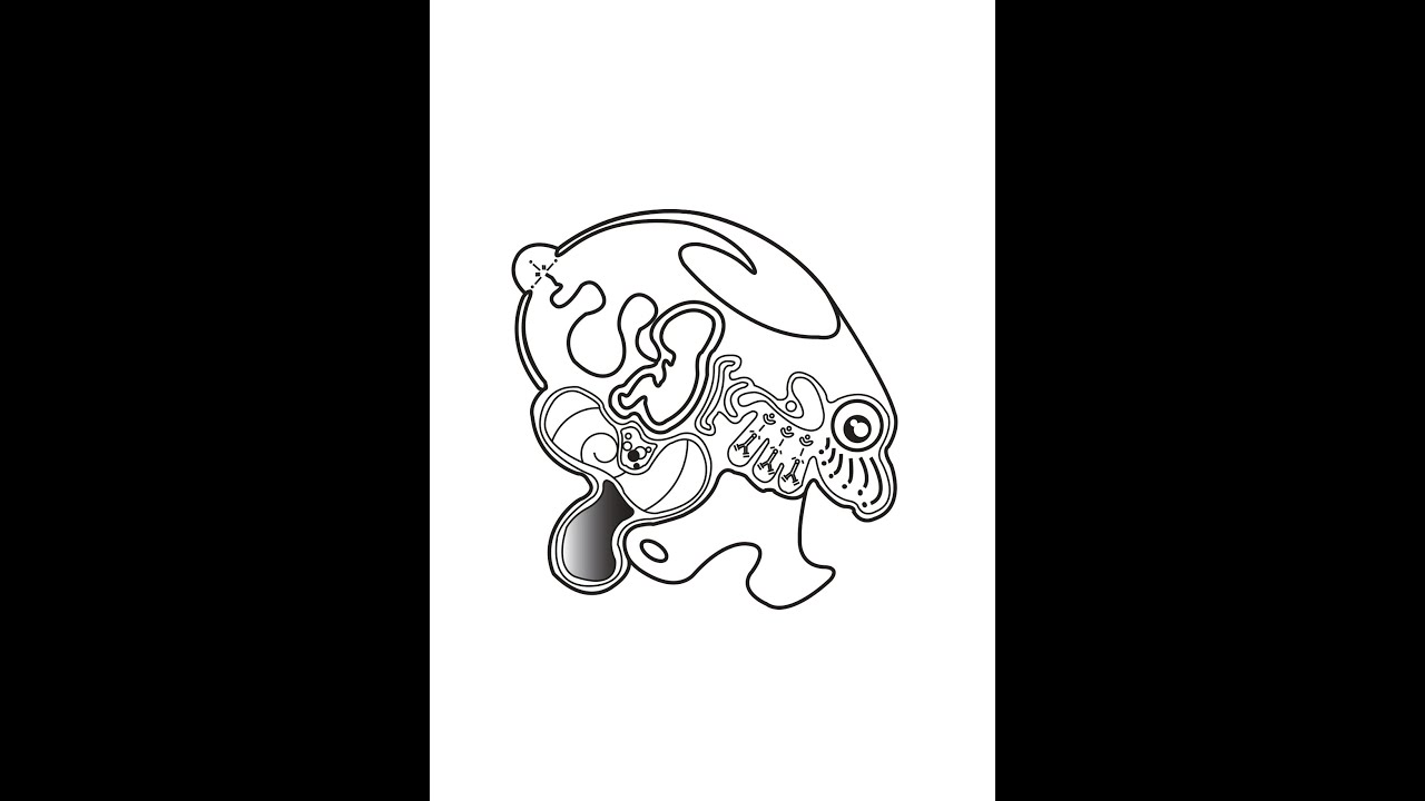 IMNIOTIC
