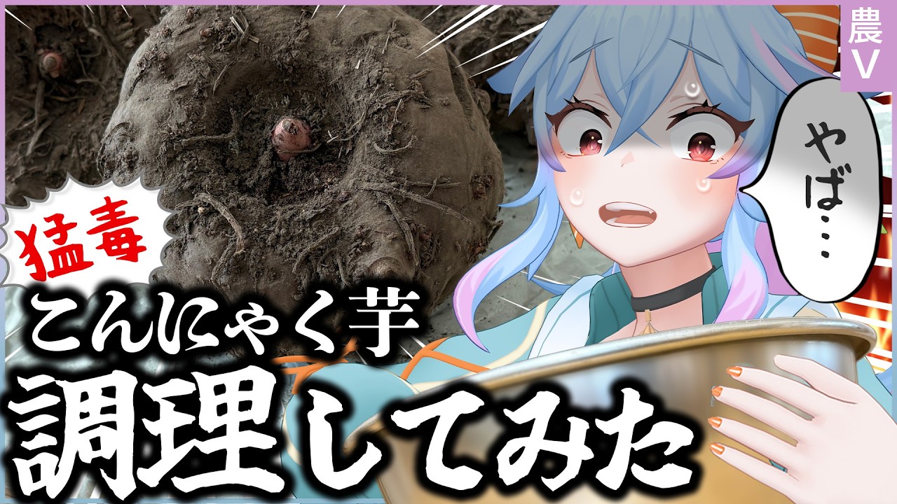 工程簡単！超美味しい！手作りこんにゃくの作り方