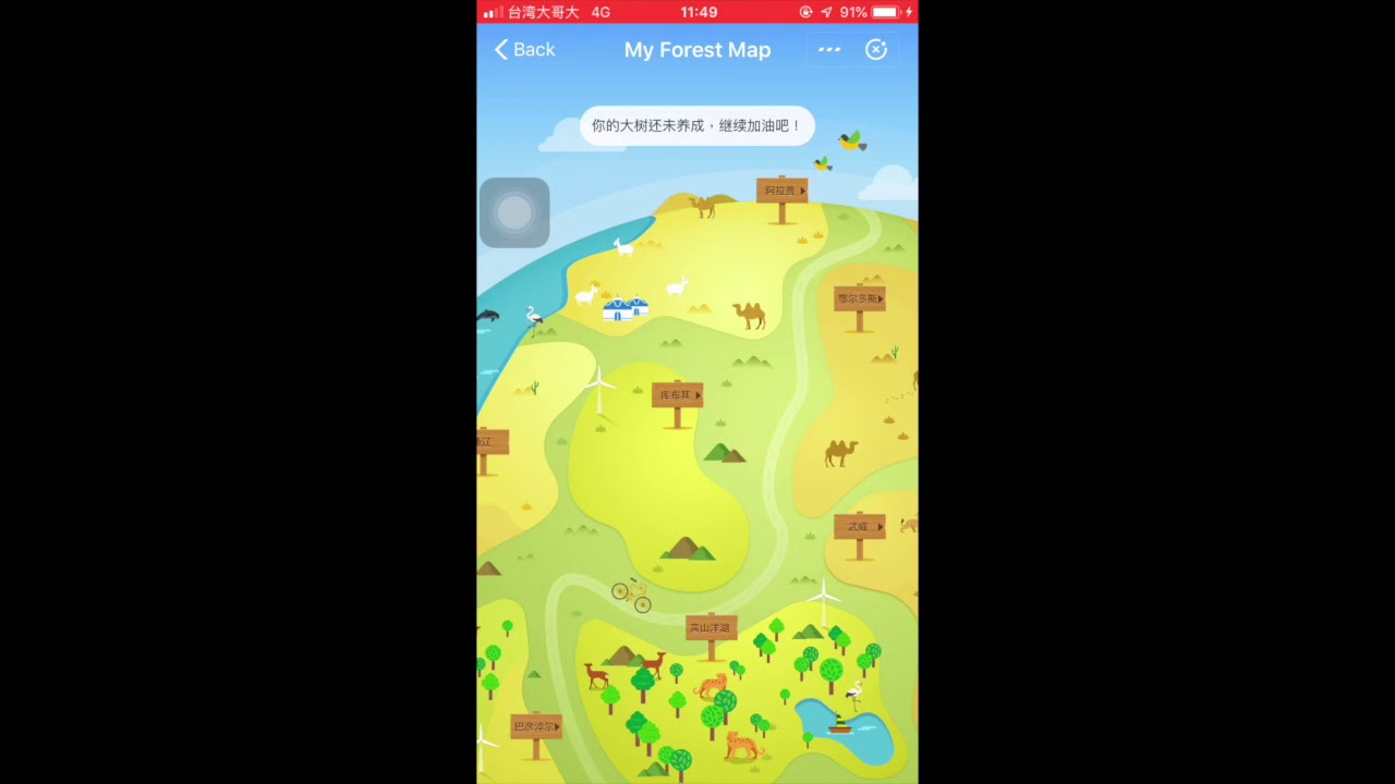 using process of ant forest