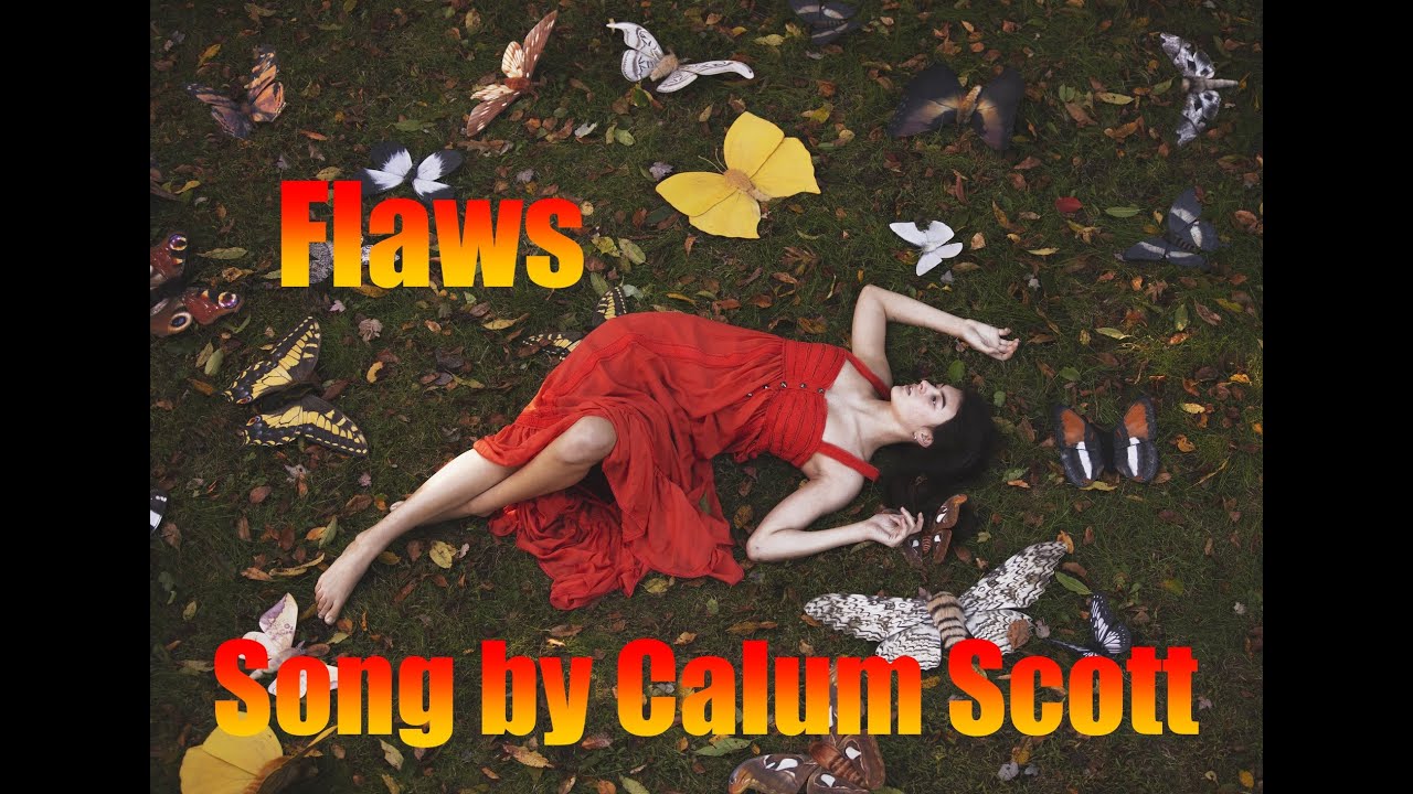 Flaws (traduzione Italiano)