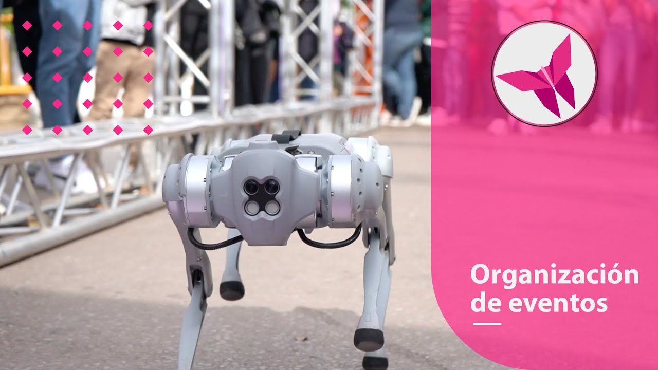 Valencia Tech X-perience 2023 | MA`S events | Organizaci&oacute;n de eventos