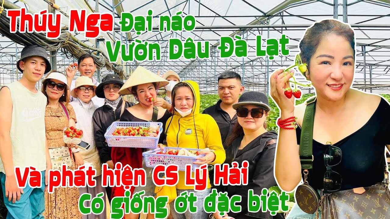 TN đại náo vườn dâu Đà Lạt và cái kết được biết CS Lý Hải có giống Ớt quý..