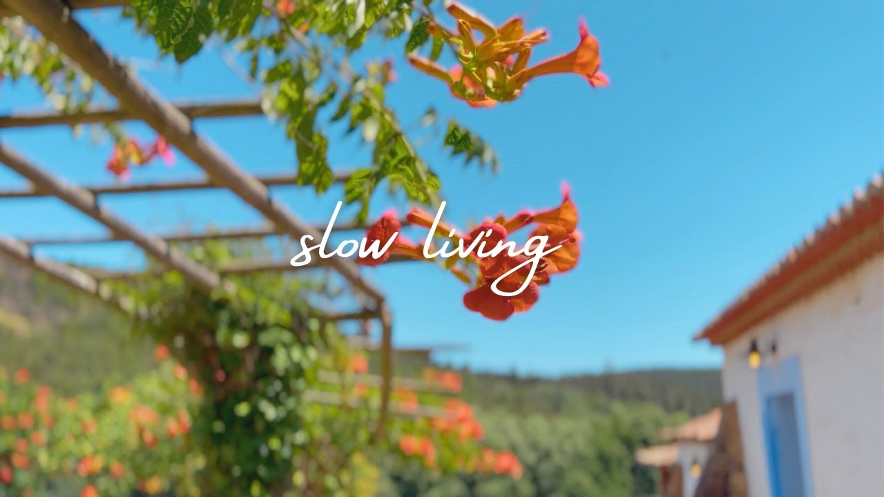 Slow Living in Rural Portugal | Dance Retreat | Monte da Orada | Nature Sounds, ASMR, No Music