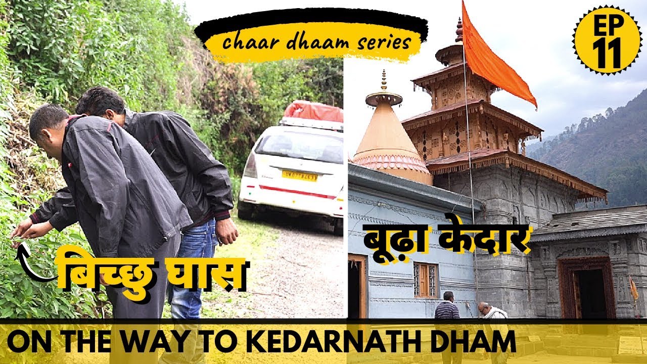 EP 11 Uttarkashi to Bhiri | Shri Boodah Kedar temple, Bichhu Ghass