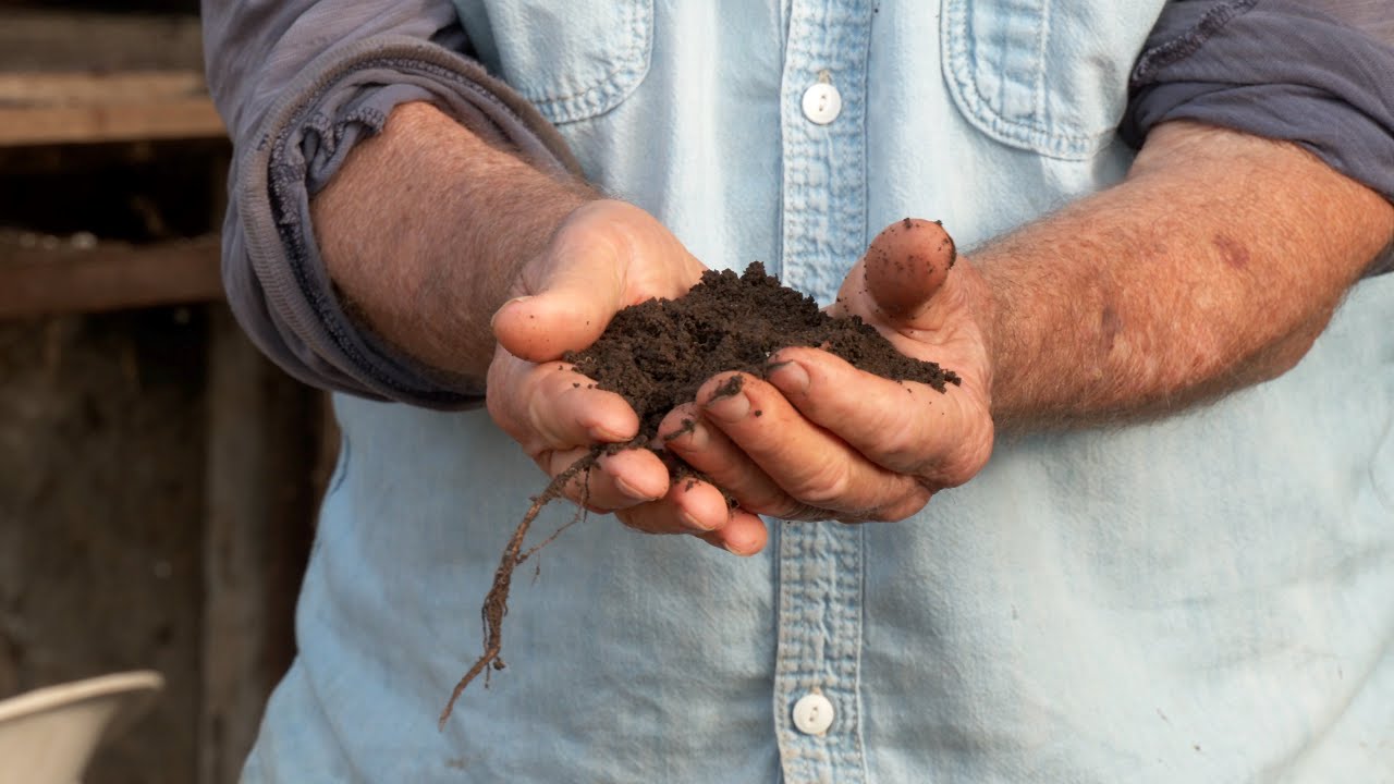 Soil Mixes for the Home Gardener