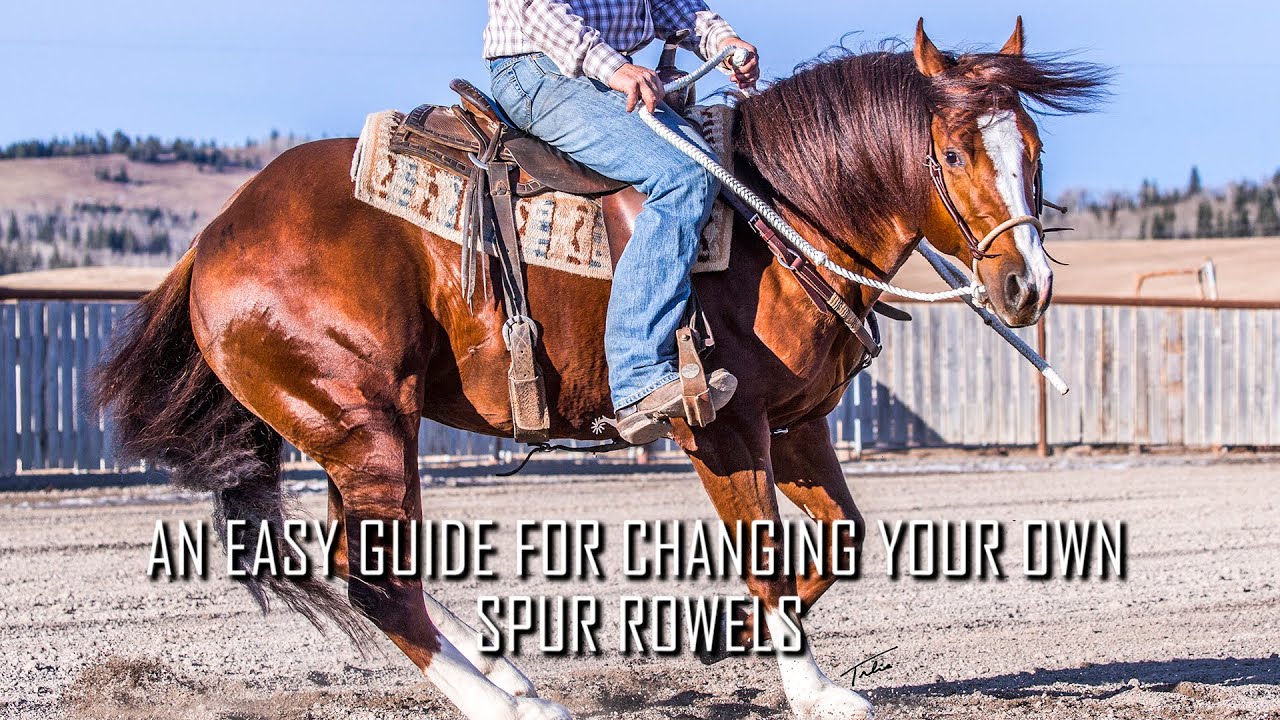 An Easy Guide For Changing Your Own Spur Rowels