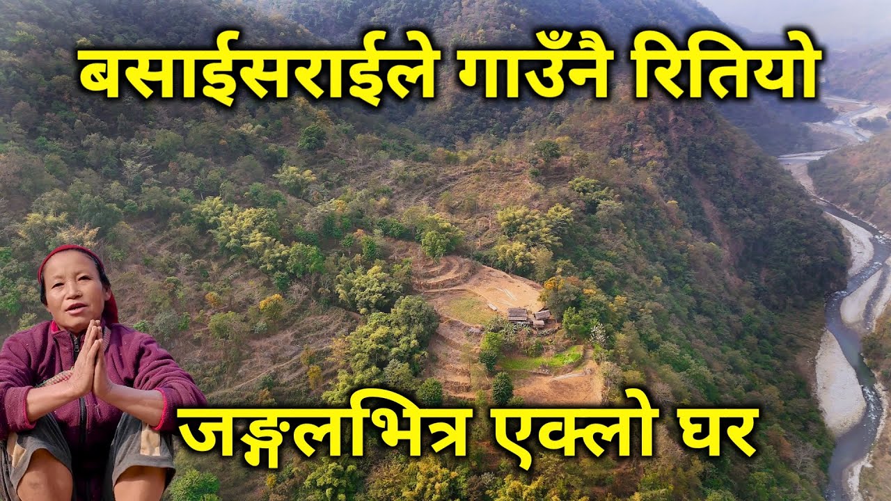 डरलाग्दो जङ्गलभित्र एक्लो घरमा एक्लै बस्ने दिदीको दुनिया रुवाउने कथा बसाईसराईले गाउँनै रितियो