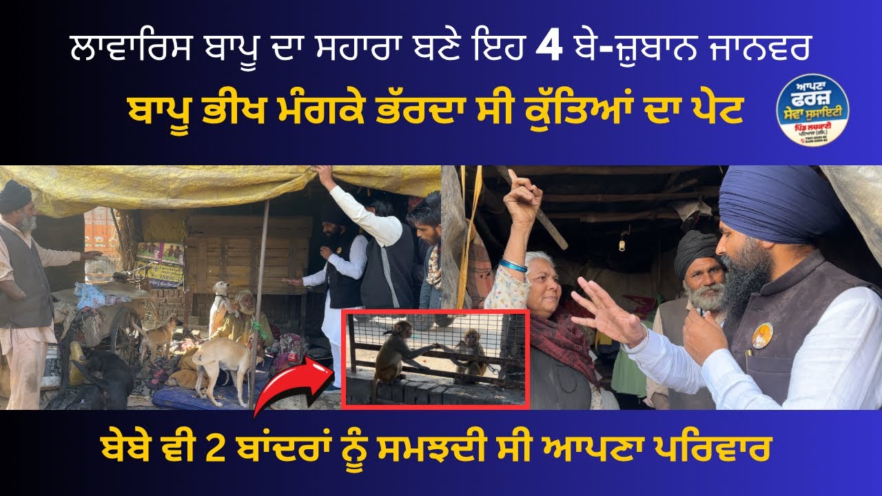 ਲਾਵਾਰਿਸ ਬਾਪੂ ਦਾ ਸਹਾਰਾ ਬਣੇ ਇਹ 4 ਬੇ-ਜੁਬਾਨ ਜਾਨਵਰ…!! ਬੇਬੇ ਵੀ ਬਾਂਦਰਾਂ ਨੂੰ ਸਮਝਦੀ ਸੀ ਆਪਣਾ ਪਰਿਵਾਰ