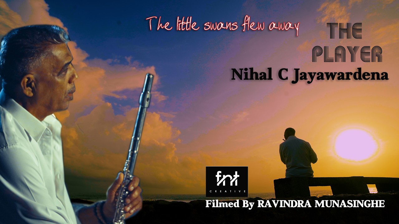 The little swans flew away - Nihal C Jayawardena #The Player #music #flute #srilanka #galle