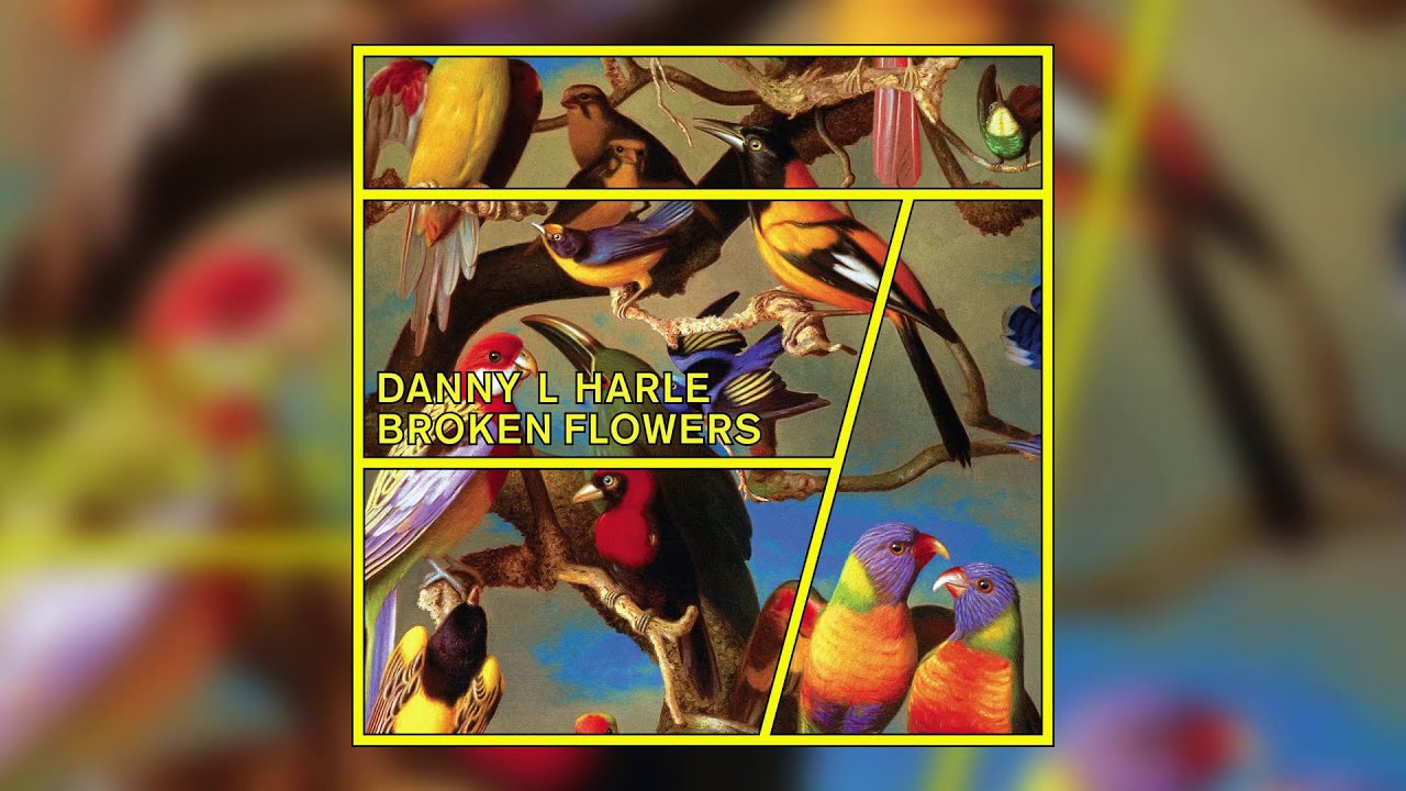 Danny L Harle - Broken Flowers (Cover Art)