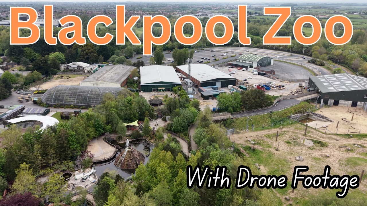 Blackpool Zoo Visit- Brand New Giraffe Trail