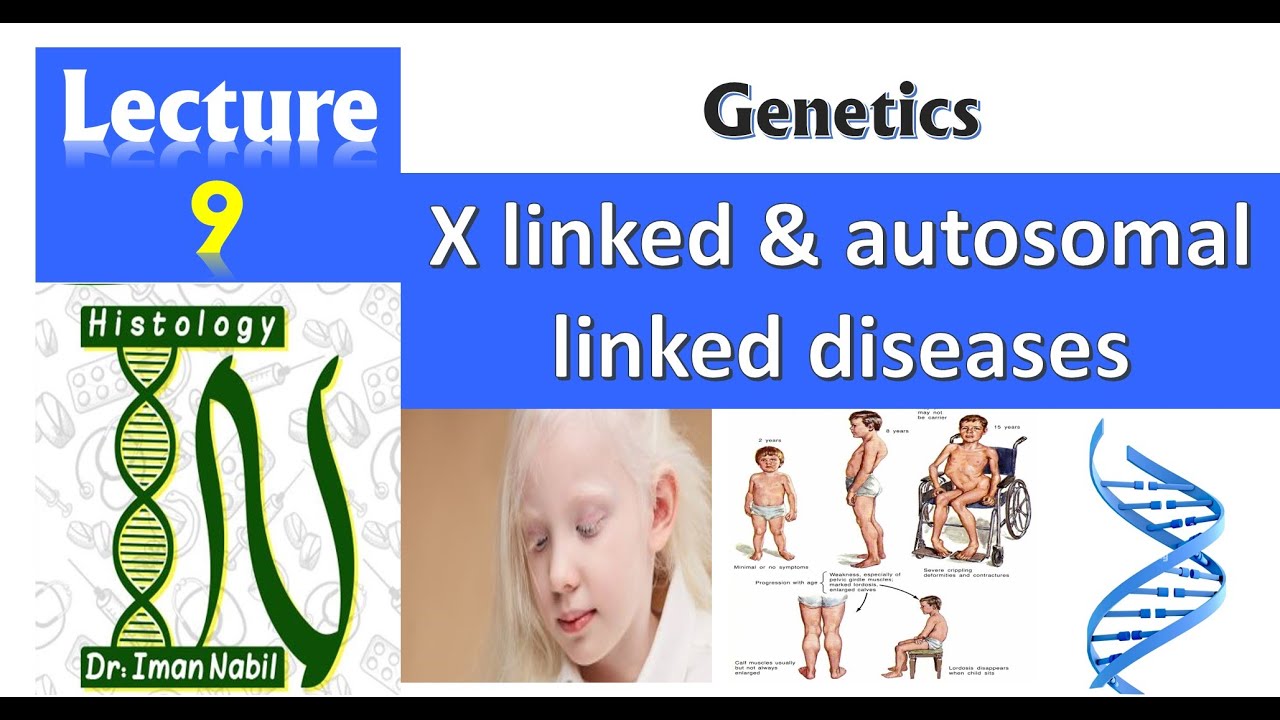 9a-X llinked and autosomal linked diseases Part1-Genetics