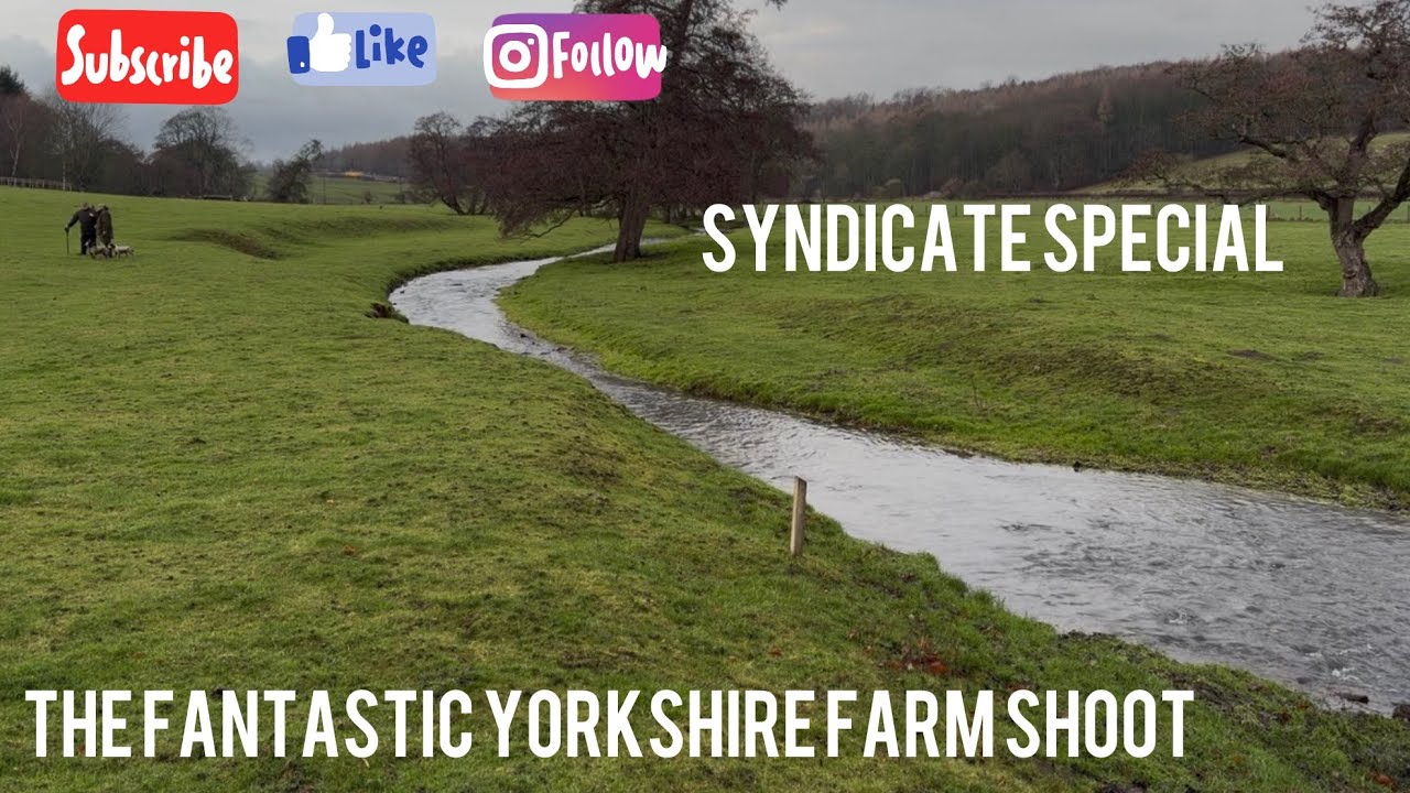 A Fantastic farm shoot special !! 