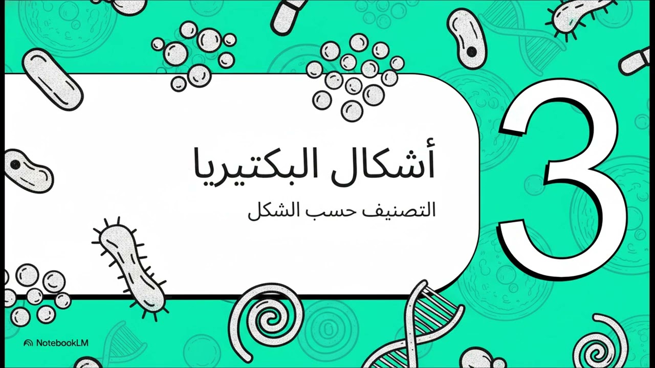 الكائنات الحية (الحصة1) / درس الميكروبيولوجيا / IP2