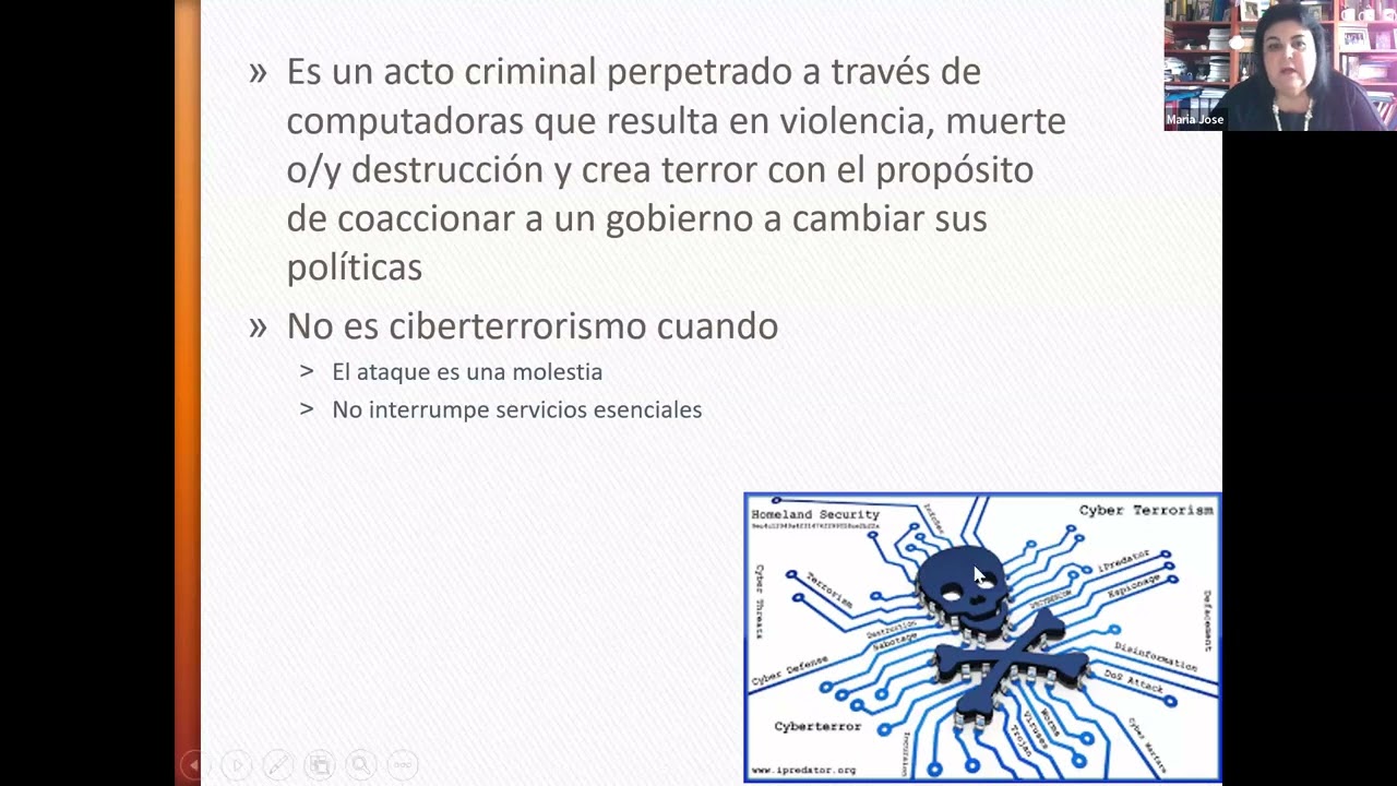 Conceptos iniciales de Ciberterrorismo
