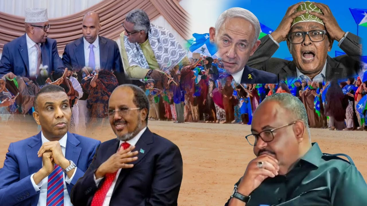 Xasan sheikh oo ka qaylisiyay Puntland iyo Mucaaradkii Hawiye Daarood 