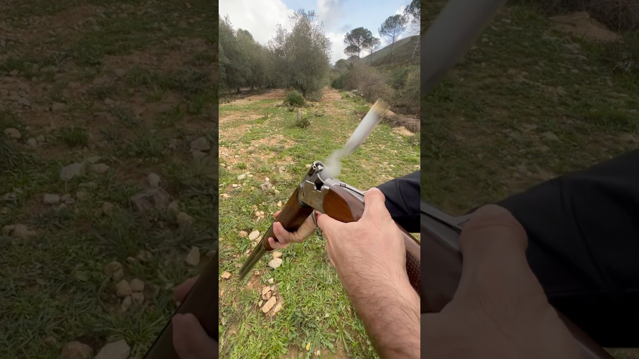 Beretta superpuesta💥 #hunting #caza