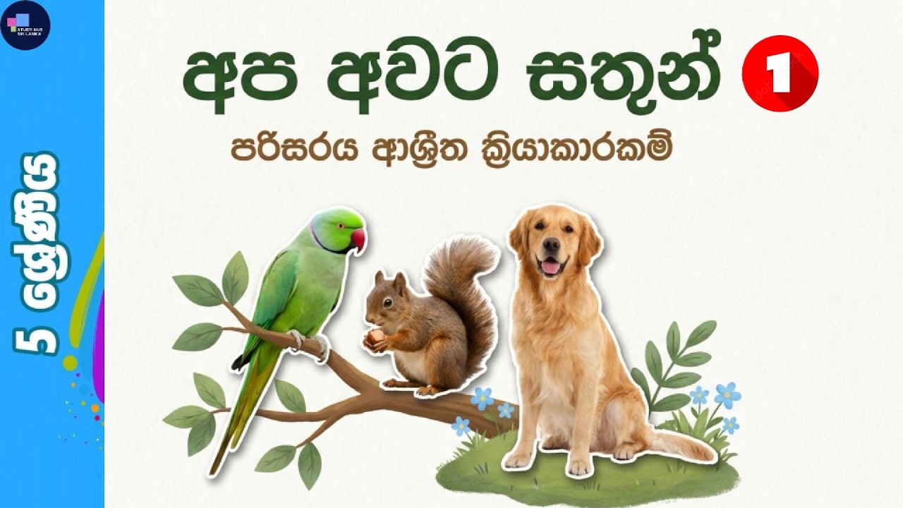අප අවට සතුන් 1 කොටස | 5 වසර පරිසරය #grade5scholarship #පරිසරය #animals