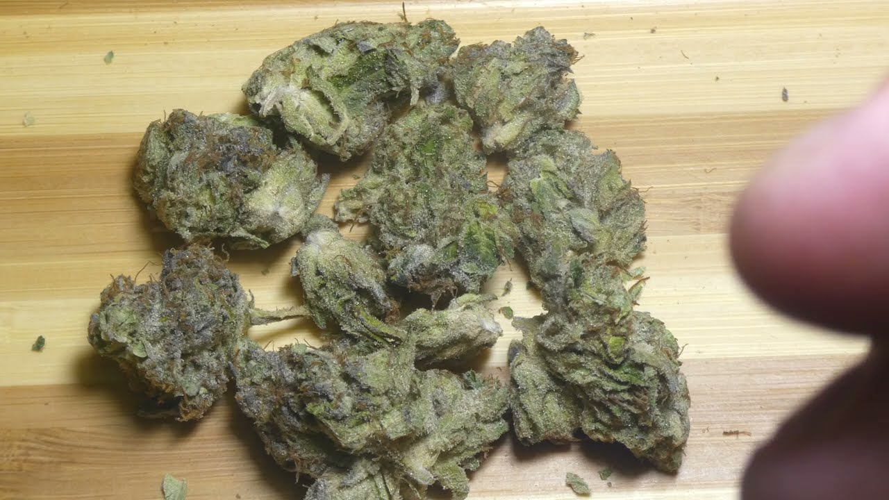 Black Death Bubba fr Bud Empire