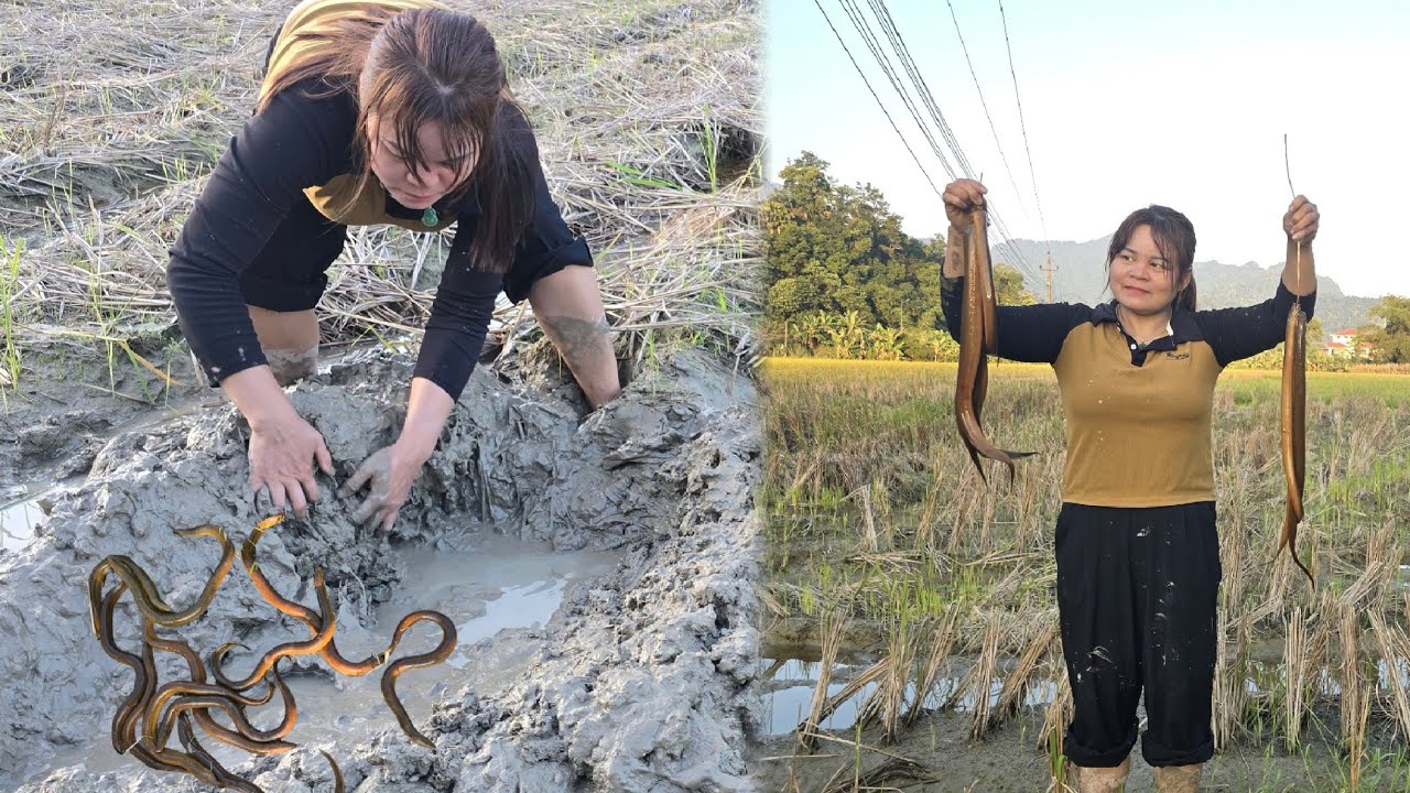 DAO caught giant eels in the fields and sold them to earn extra income.