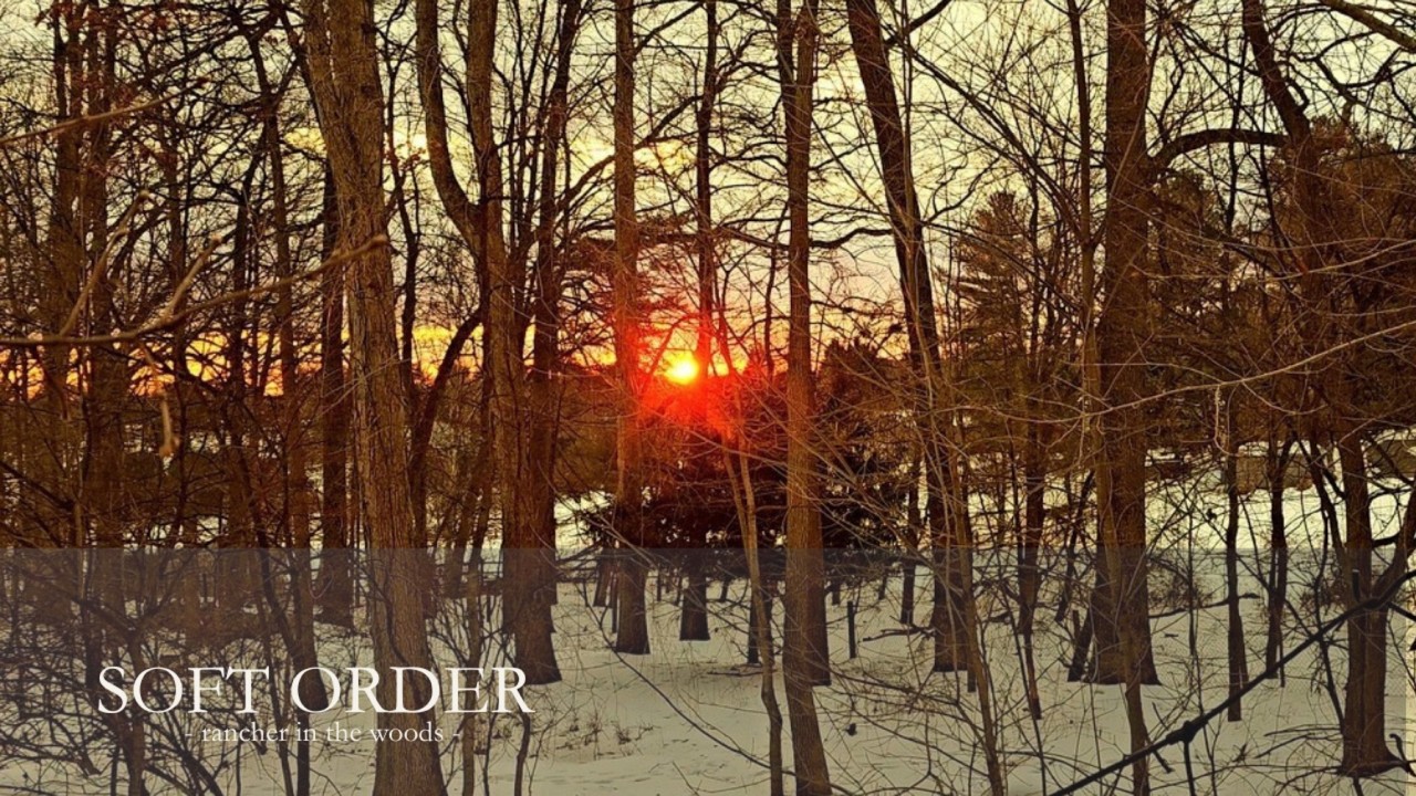 Winter Sunset Through the Trees | Silent Vlog | No Talking | Slow Living