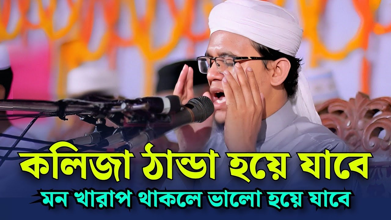 কলিজা ঠান্ডা হয়ে যাবে | চোখের পানি ধরে রাখতে পারলাম না | সাঈদ আহমেদ কলরব |mufti sayed ahmad kolorab