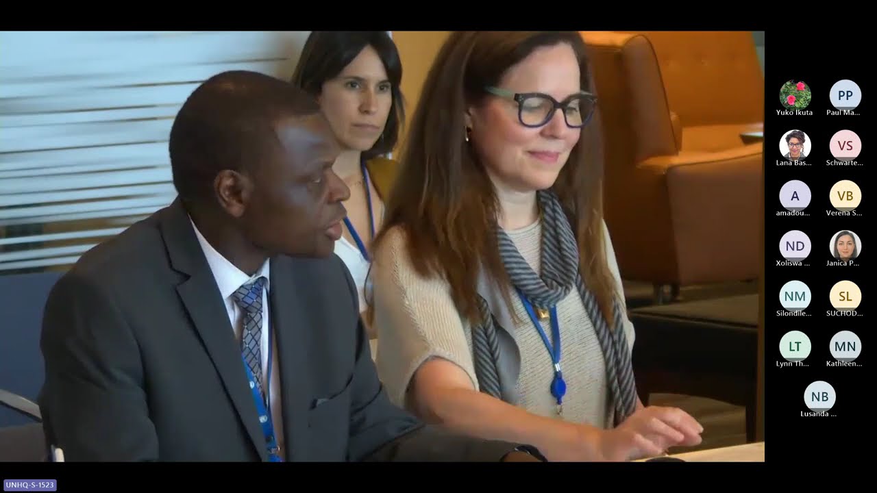 VNR/VLR Lab: Advancing integrated SDG planning and implementation