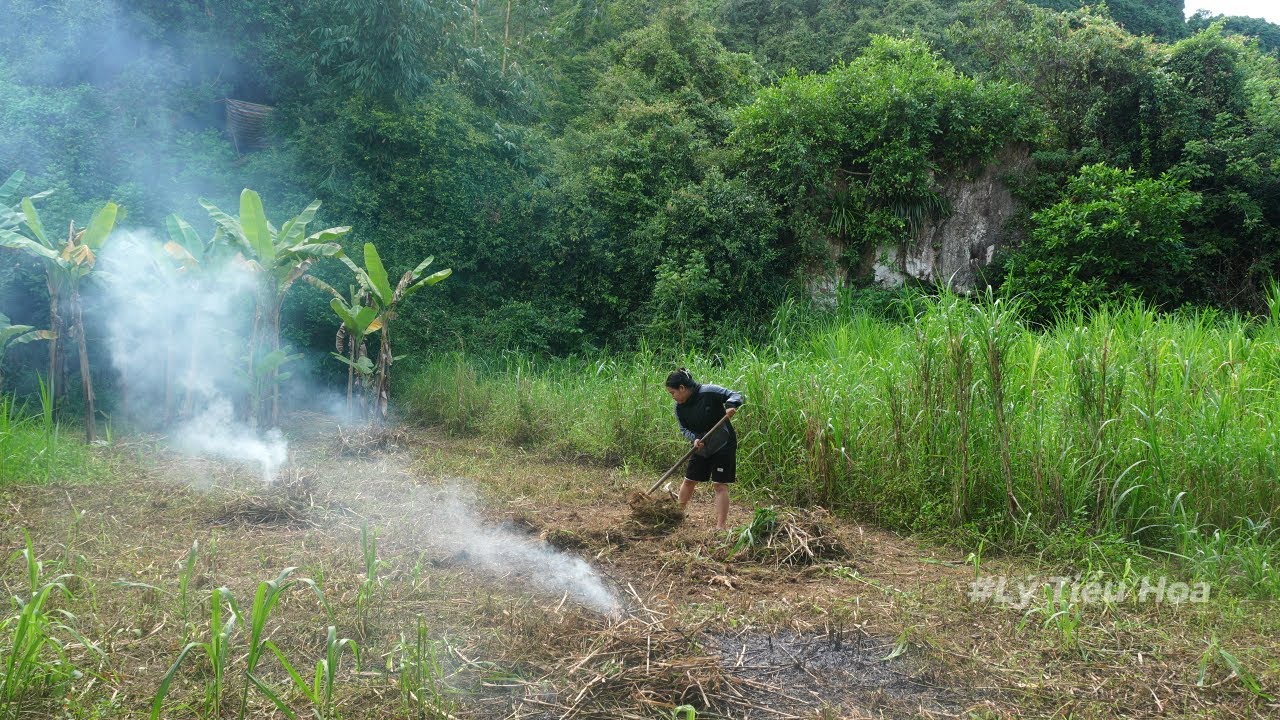 Leaving the City Behind | Tieu Hoa’s Peaceful Morning in the Garden & Stream Fishing