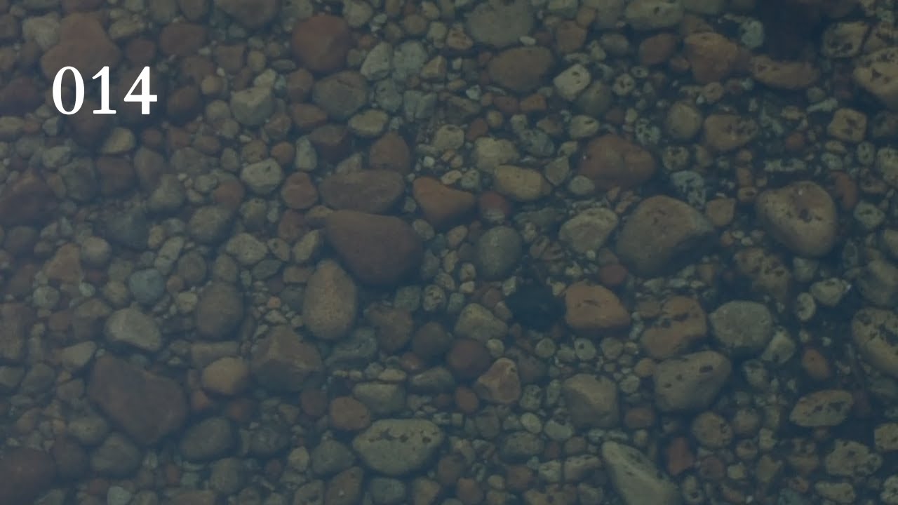 Video Journal 014 (01/21/2025)