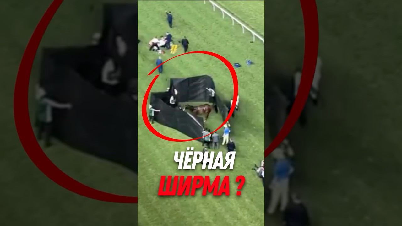 🏇 Чёрная ширма на скачках. ЧТО скрывают?