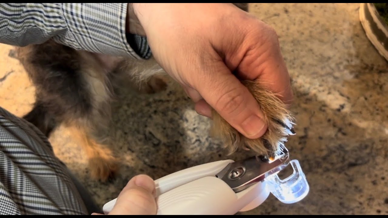 Is the grinding tool good on the 2 in 1 pet nail clippers? How well does the light work?