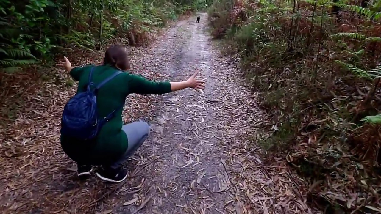 Caminhada na charneca do Nicho