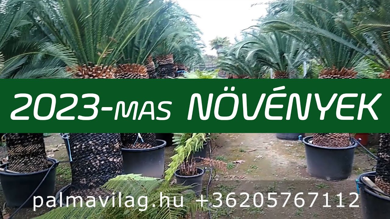 2023 növényei indulásra várnak!