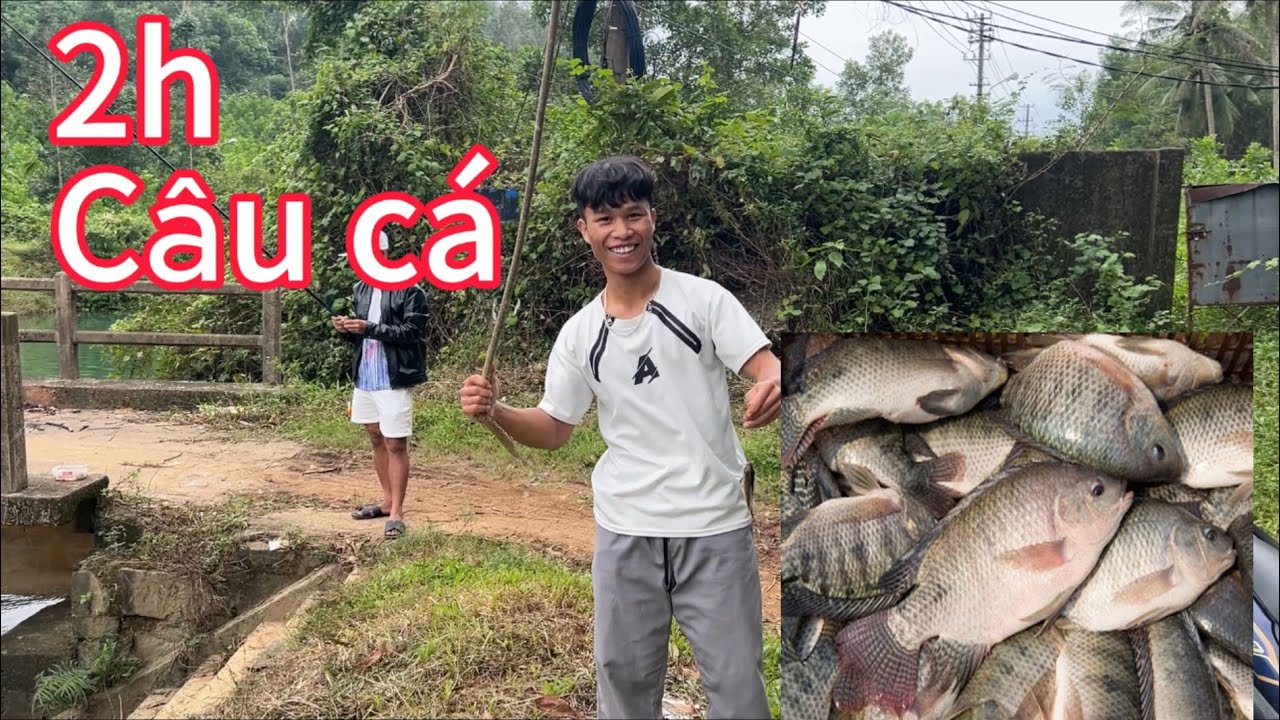 Câu cá rô phi |và thành quả thật bất ngờ || #TrườngVlog#câucá 