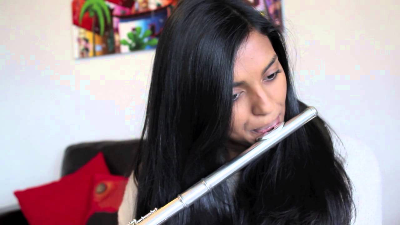 Titanium - David Guetta Flute Cover