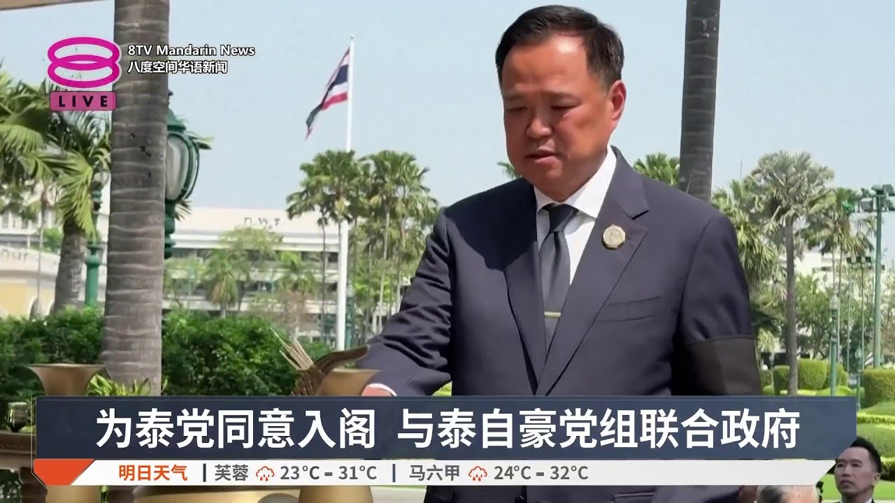 为泰党同意入阁 与泰自豪党组联合政府【2026.02.13 八度空间华语新闻】