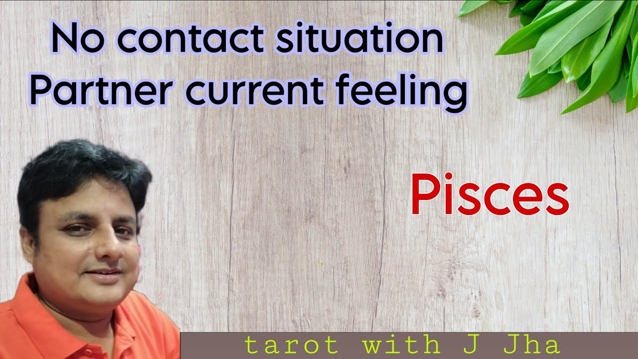 मीन राशि || Pisces sign || No contact situation Partner's Current feelings ❤️