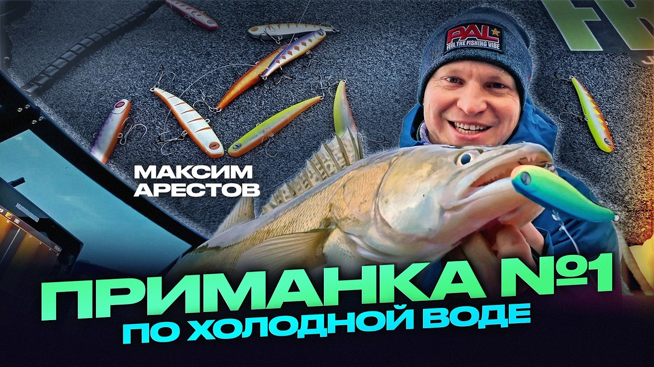 УБОЙНАЯ ПРИМАНКА для ловли на спиннинг в холодной воде: как ловить пассивную рыбу