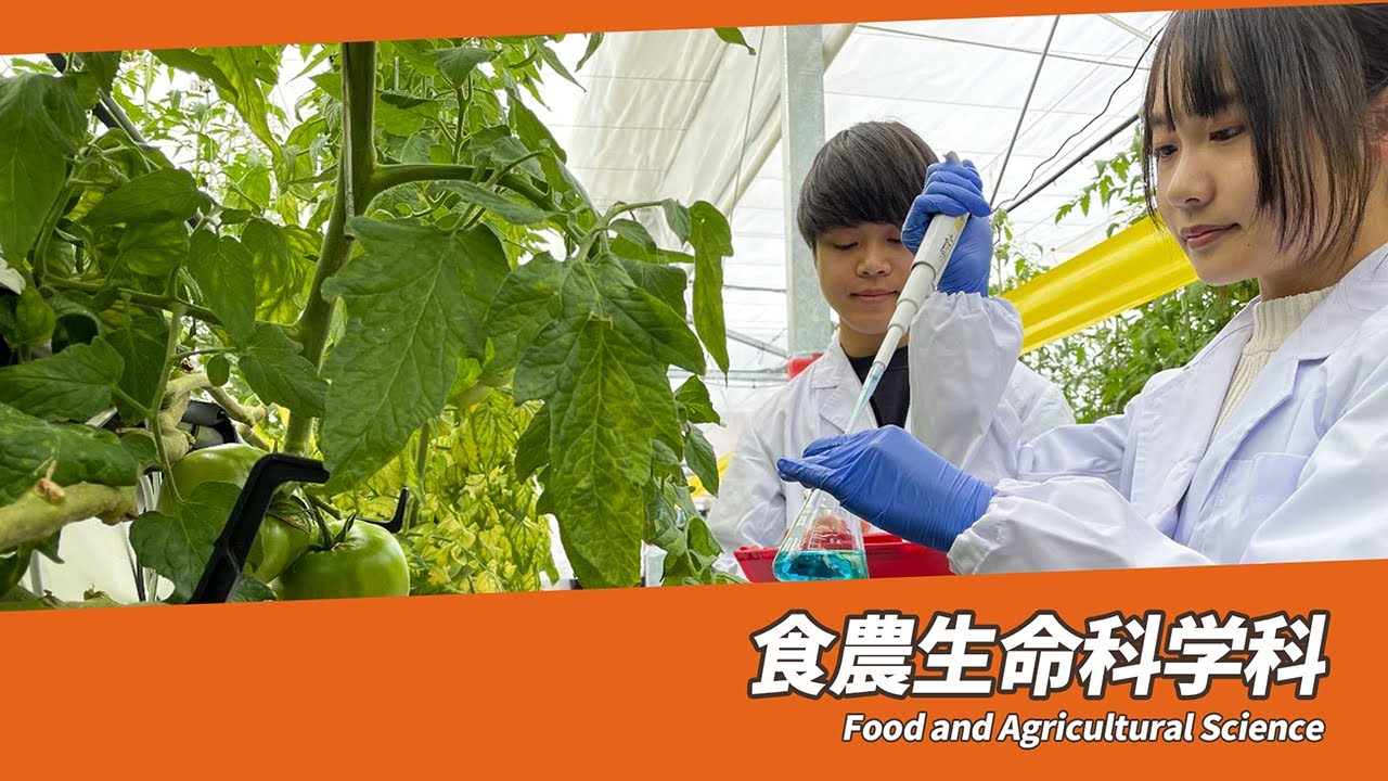 岐阜大学　応用生物科学部　食農生命科学科