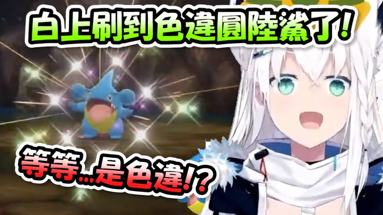 白上終於刷到色違圓陸鯊了!!!刷到當下沒有發現是色違...知道後開始慌張大叫超級可愛www【白上吹雪】【Hololive/ホロライブ】【vtuber中文字幕】