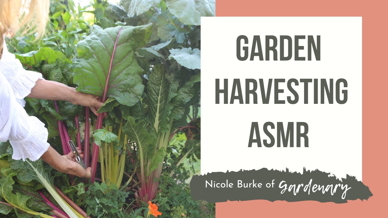 Garden Harvesting ASMR