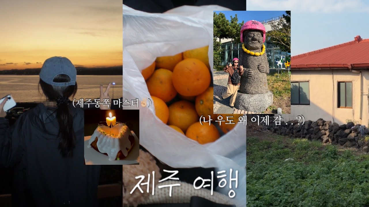 동쪽제주만 5년째 가는 사람의 제주여행 브이로그. 이번엔 우도를 곁들인🥜