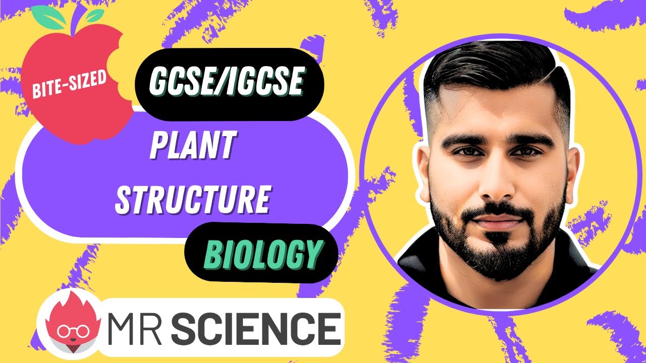 Plant structure & Function | Plant Anatomy | Bite-sized | GCSE | IGCSE Biology | Mr Science in 8K