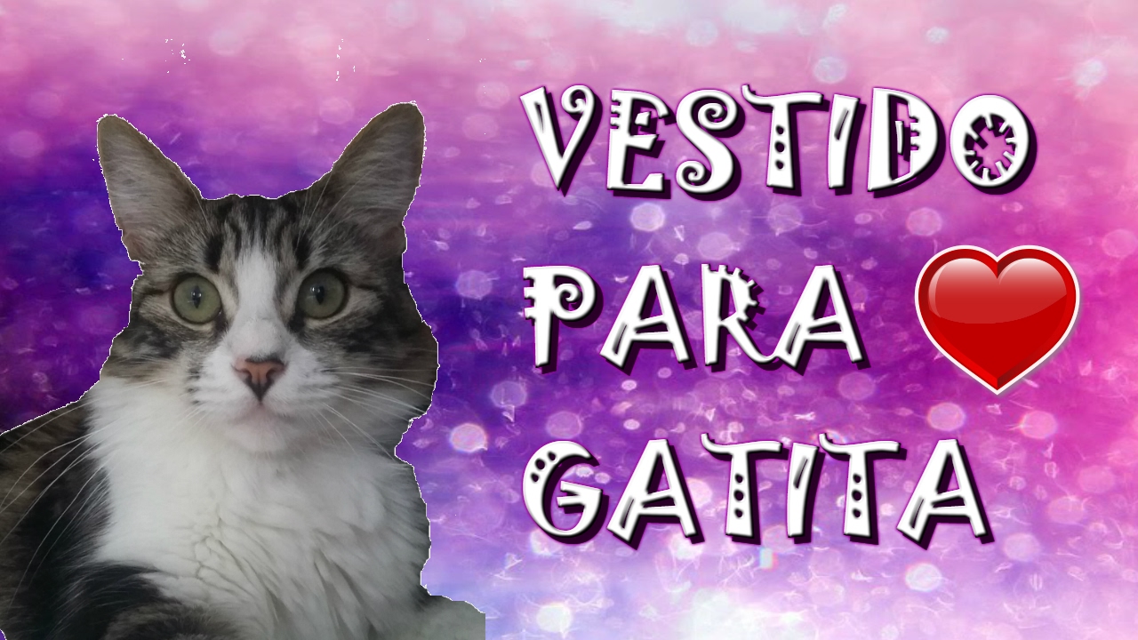 Vestido Para Gatita || Feliz San Valentin