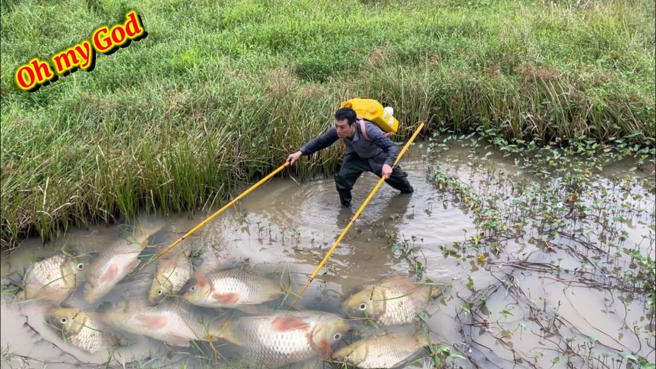 unique fishing technique, catching fish with electricity