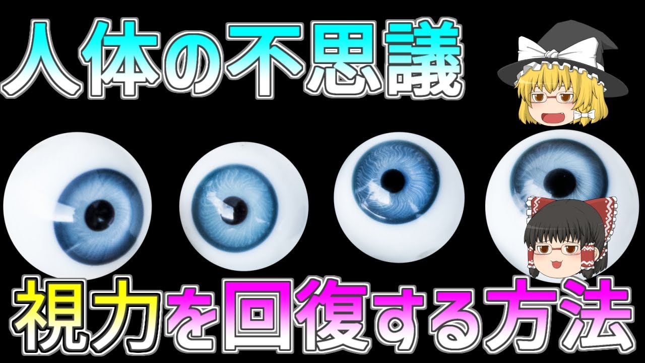 【ゆっくり解説】もうメガネもコンタクトもいらない！？視力を0.1から1.0まで自力で治す方法