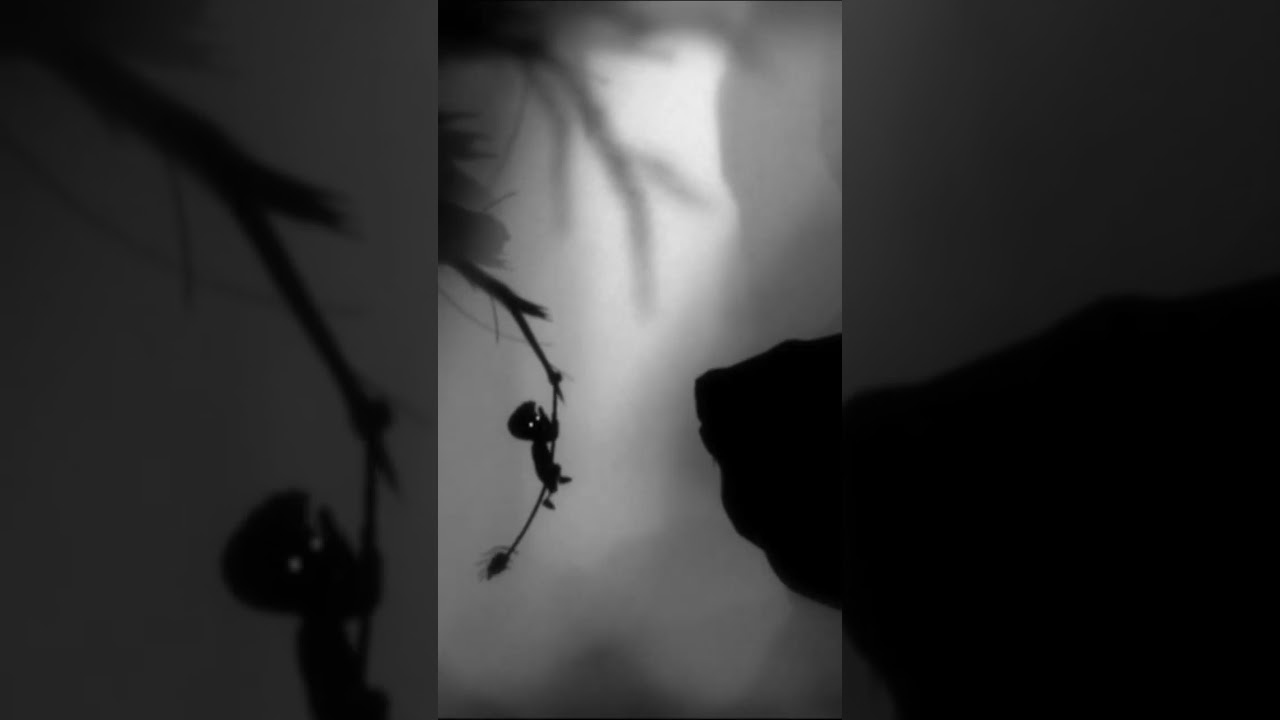 Limbo solving the puzzles the most horror game 😱 