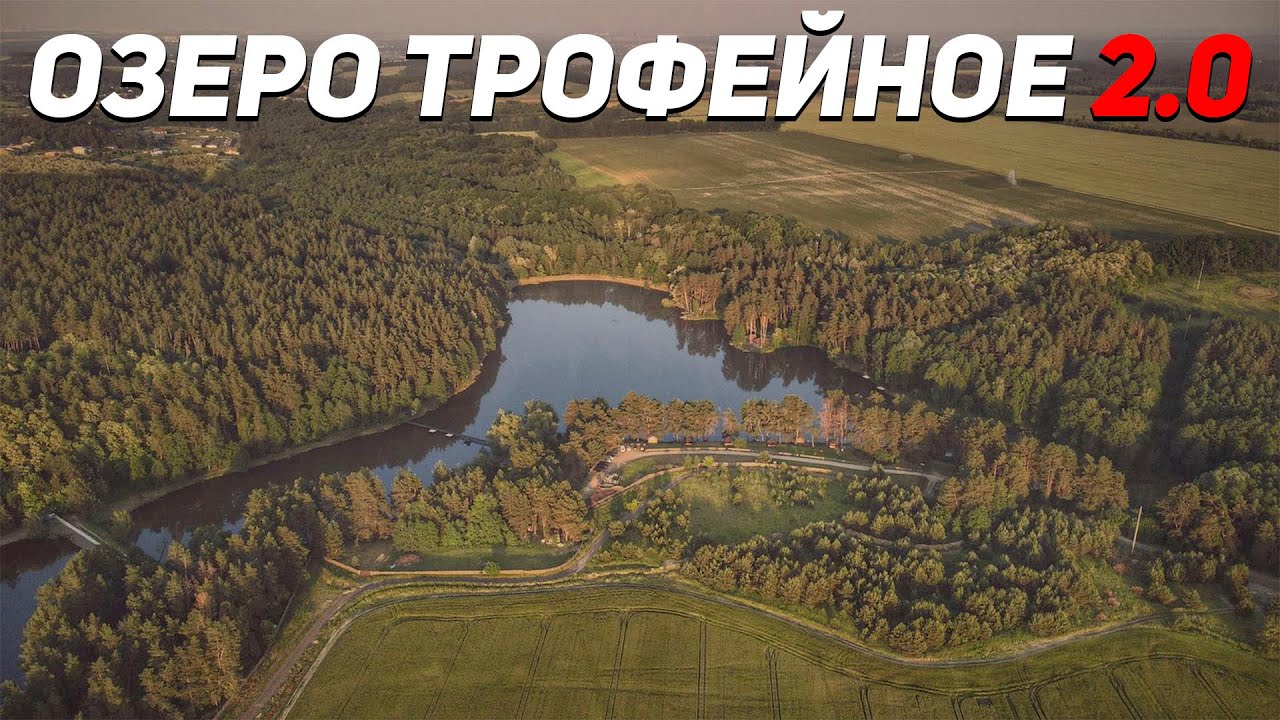 Обзор Трофейное 2.0 | Карпфишинг в лесу