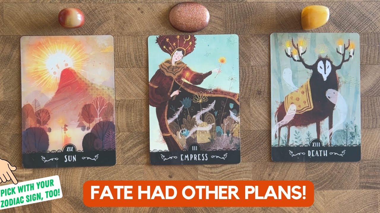 You Thought This Wasn't Meant To Be, But It's Happening For You! | Timeless Reading
